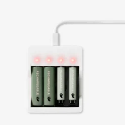 Caricabatterie. Con le batterie ricaricabili