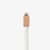 Cavo di ricarica USB. Chiave lightning