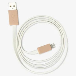Cavo di ricarica USB. Chiave lightning