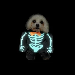 Costume da animale domestico - Scheletro fosforescente