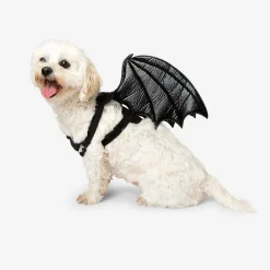Costume per animali - Pipistrello scheletro