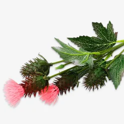 Fiore decorativo - cardo
