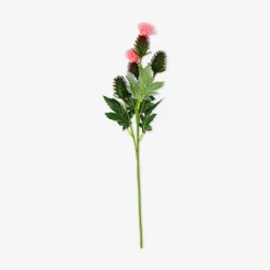 Fiore decorativo - cardo