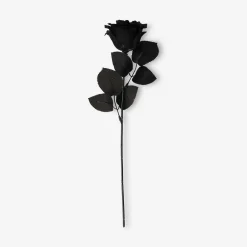 Fiore decorativo - Rosa nera