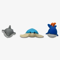 Gomme per animali marini in scatola - 3 pz