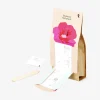 Kit per la coltivazione - Hollyhock