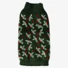 Maglione di Natale verde per un cane
