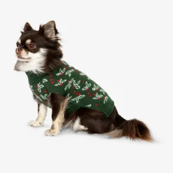 Maglione di Natale verde per un cane