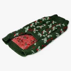 Maglione di Natale verde per un cane