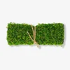 Muschio decorativo - 25x35 cm