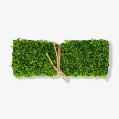 Muschio decorativo - 25x35 cm