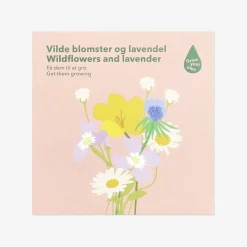 Pacchetto di semi - Fiori selvatici e lavanda