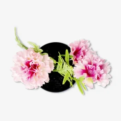 Pianta decorativa con fiori rosa - 15 cm