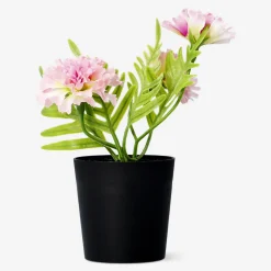 Pianta decorativa con fiori rosa - 15 cm