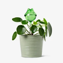 Puntale auto-irrigante a forma di rana