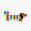 Puzzle in legno dell'alfabeto del cane salsiccia