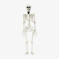 Scheletro decorativo da appendere - 85 cm