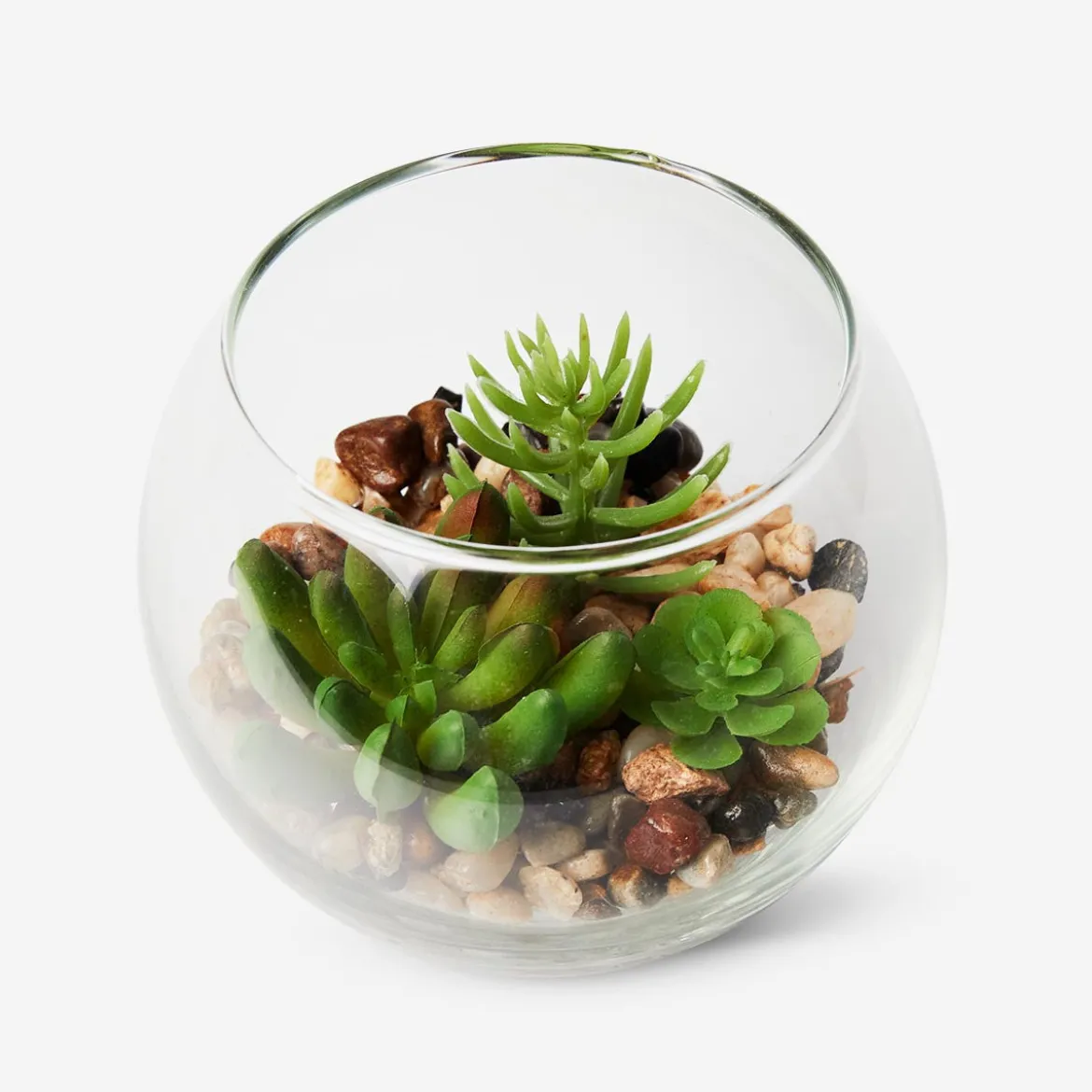 Terrario